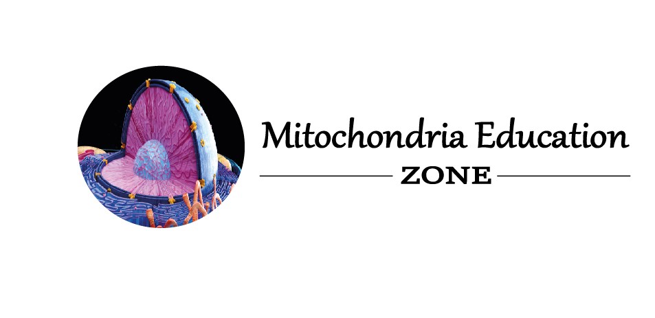 Mitochondria Education Zone